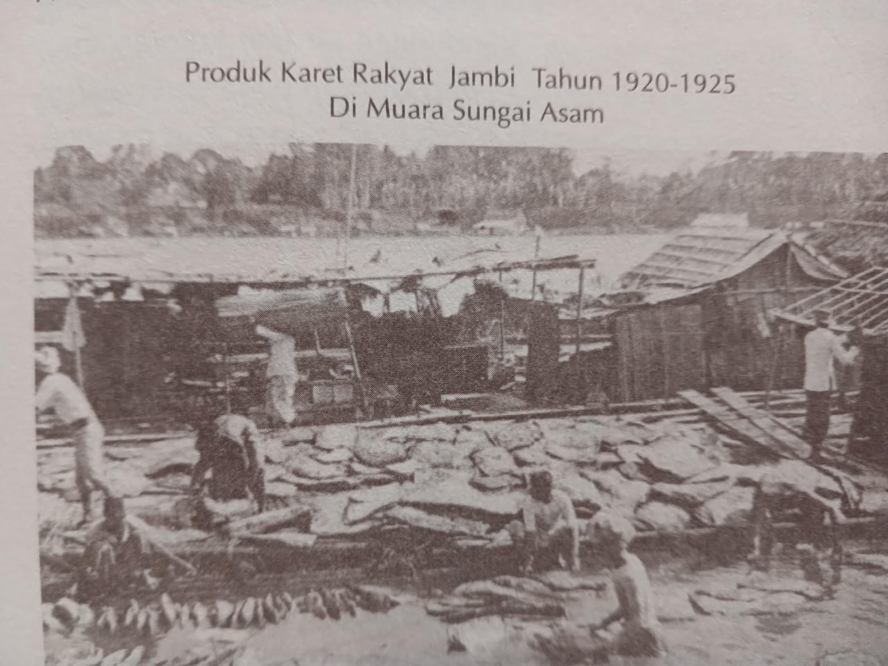 karet rakyat Jambi