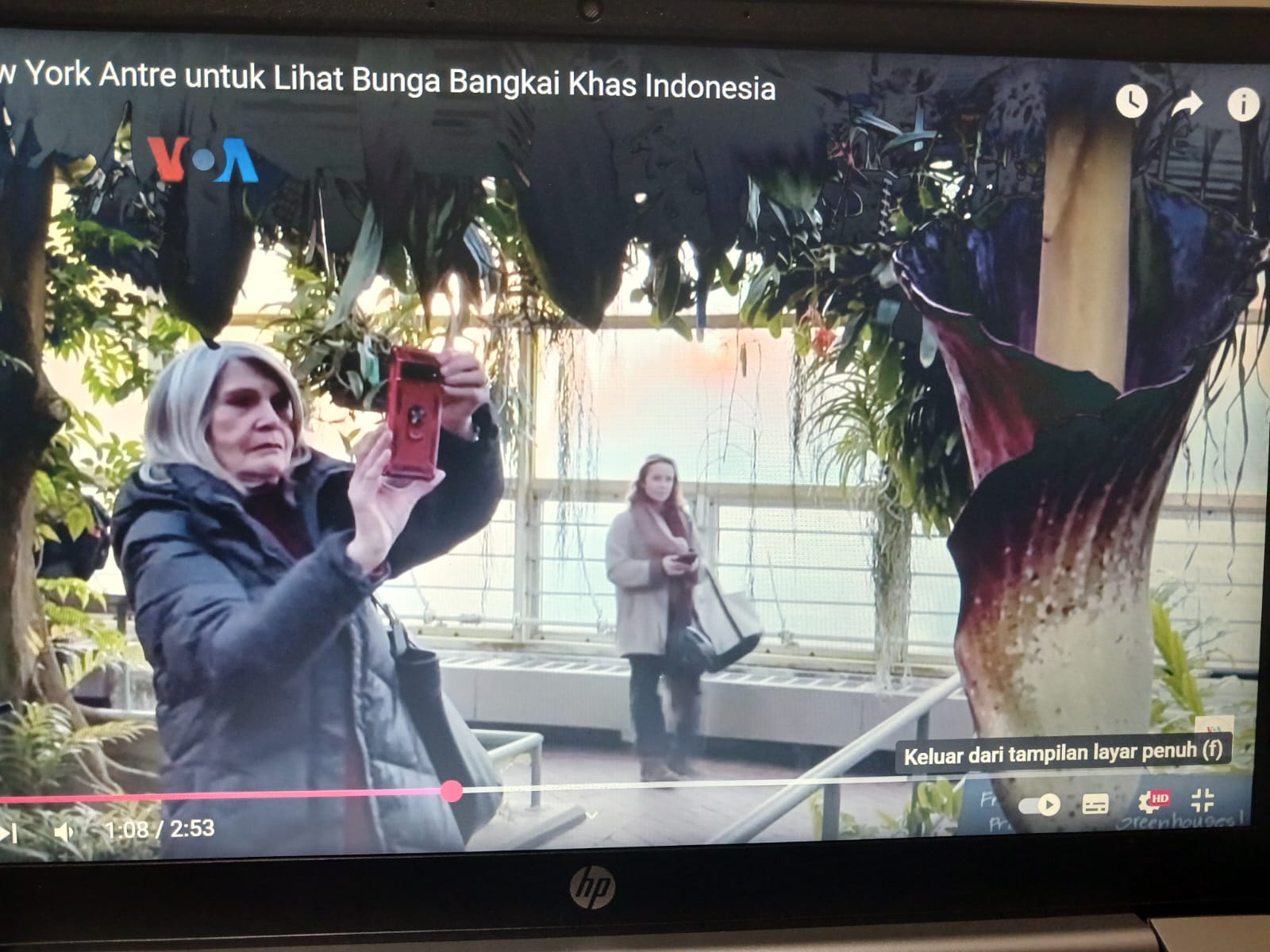 bunga bangkai
