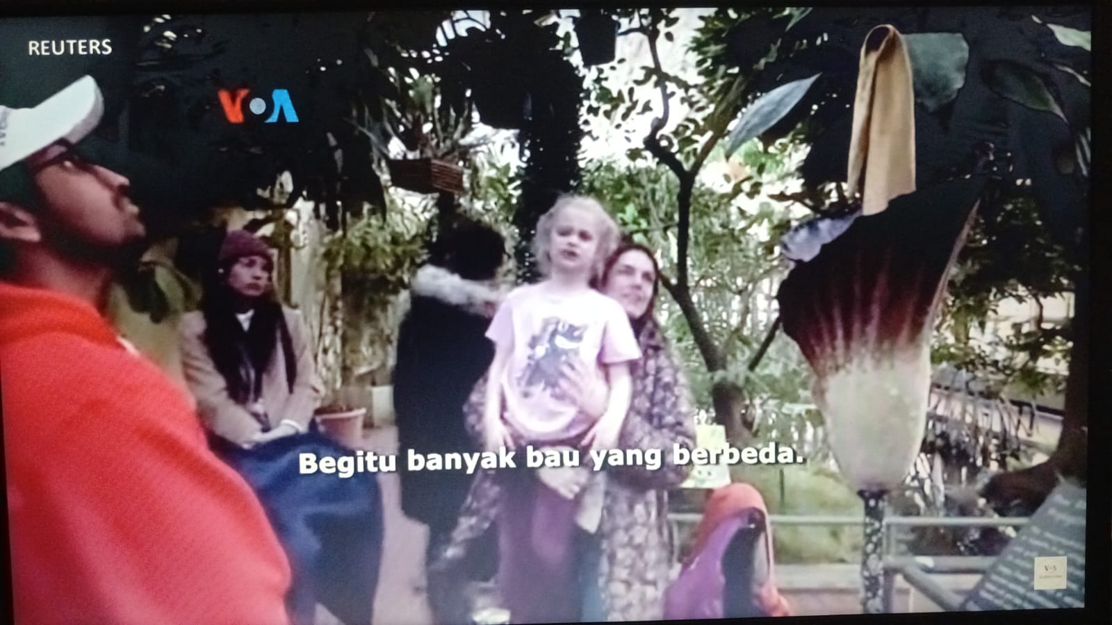 Bunga bangkai