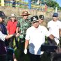Wali Kota Jambi