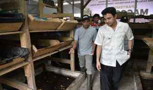 Wakil Wali Kota Jambi, Diza Hazra Aljosha, di acara peresmian Kampung Edukasi Nan Bahagia, di Kelurahan Bakung Jaya, Kecamatan Paal Merah, Jumat (11/7/2025).