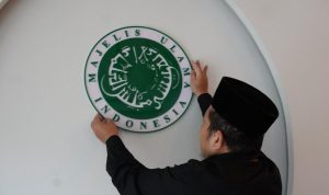 Logo MUI