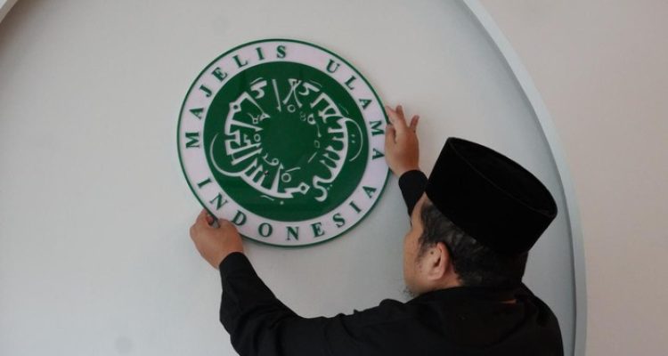 Logo MUI
