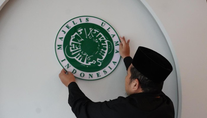 Logo MUI